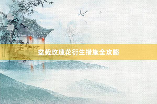 盆栽玫瑰花衍生措施全攻略
