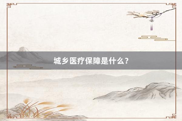 城乡医疗保障是什么?