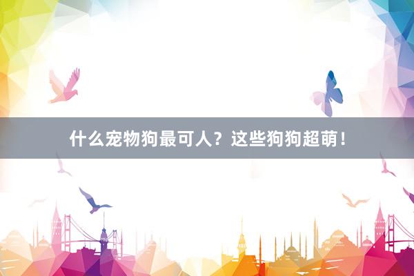 什么宠物狗最可人？这些狗狗超萌！